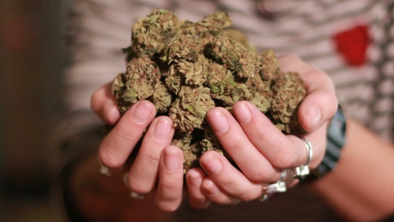 加拿大国内航班允许乘客每次携带30克大麻
