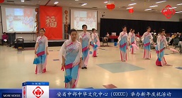 红枫林TV—2015年3月： 多个组织举办新春庆祝活动 