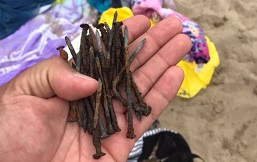 安省沙滩发现百枚生锈铁钉