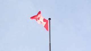 Canada's COVID-19 cases surpass 178,000, deaths reach more than 9,000