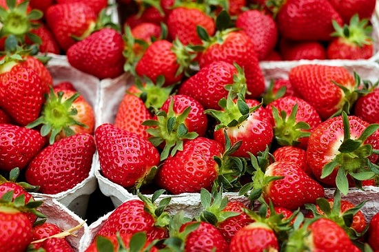 多伦多周边藏着10个超棒摘草莓农场